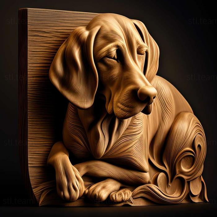 3D модель Собака овернь бракк (STL)